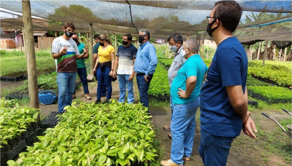 RETROSPECTIVA DO GOVERNO: Emater cumpre metas e fortalece assistência técnica e extensão rural