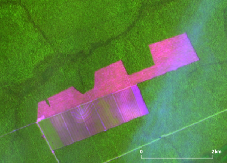 BOA NOTÍCIA: Primeiro bimestre de 2024 tem menor desmatamento dos últimos seis anos