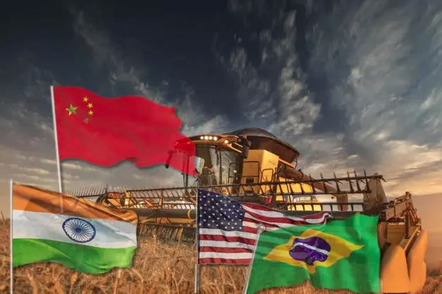 CELEIROS: Veja os quatro países que mais produzem alimentos no mundo