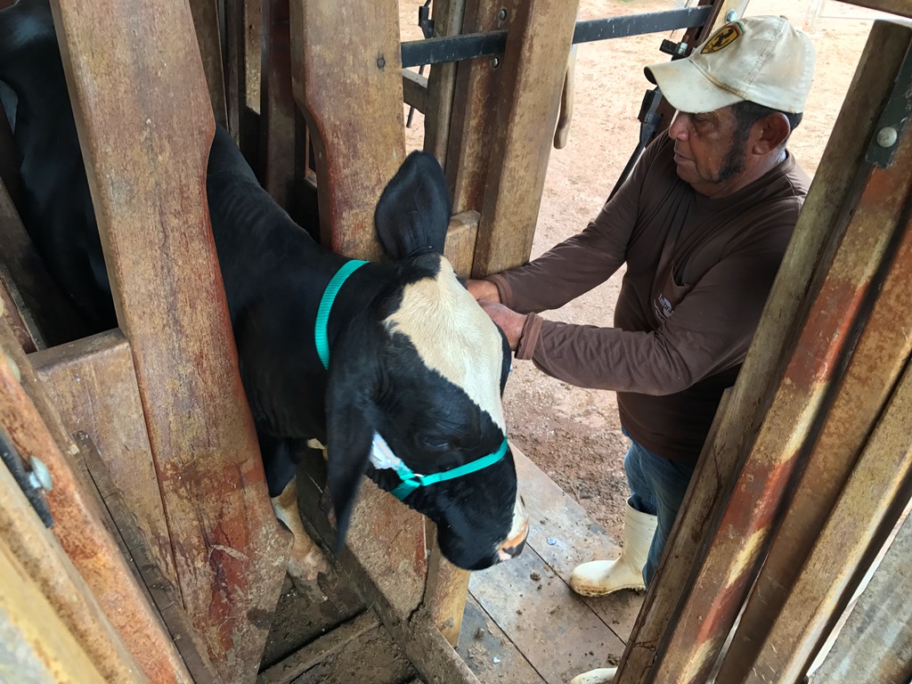 Pesquisa divulga manual de bioacústica para avaliação de comportamento animal