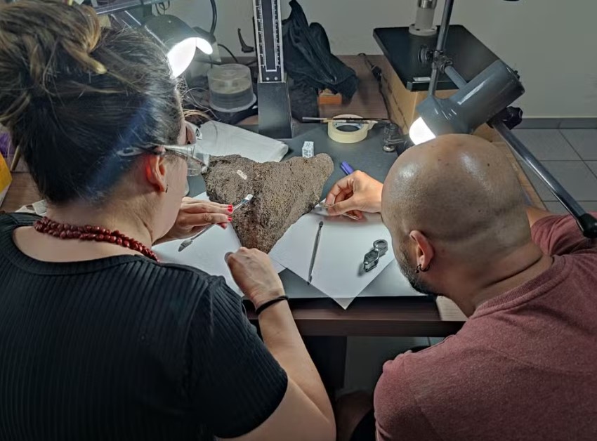 PRÉ-HISTÓRIA: Nova espécie de tartaruga gigante amazônica é descoberta em Rondônia