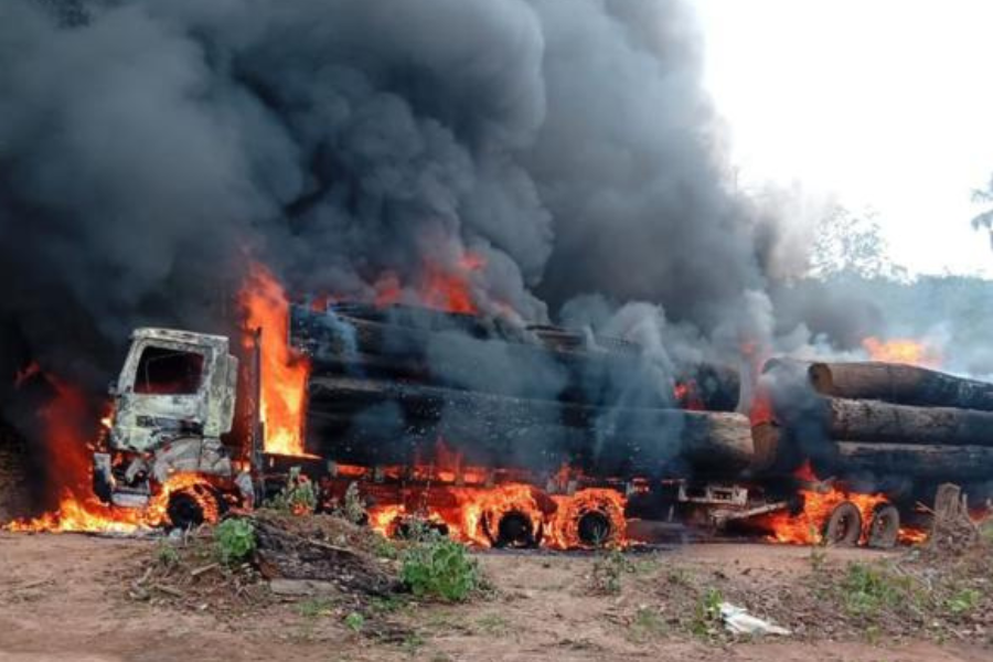 CRIMES AMBIENTAIS: PF realiza operação na Reserva Roosevelt e destrói veículos