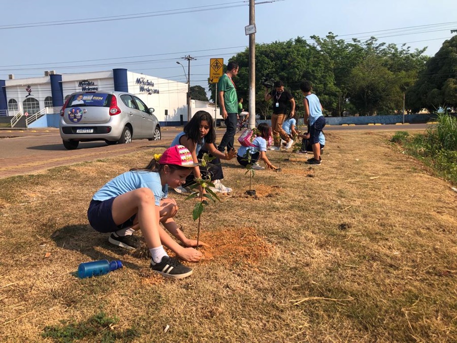 MEIO AMBIENTE: Crianças participam de plantio de mudas nas comemorações do Dia da Árvore
