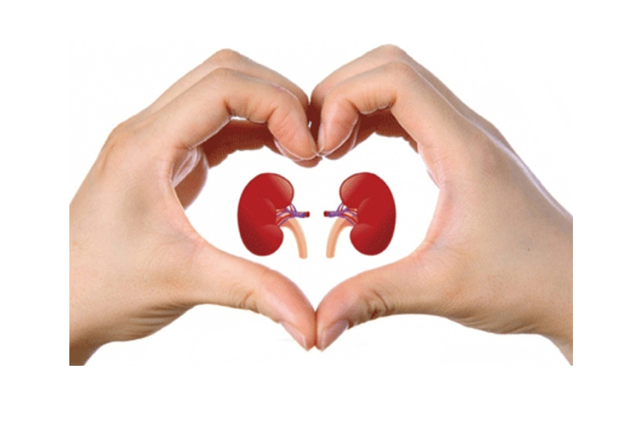 SAÚDE: CDMM realiza ação gratuita no Dia Mundial do Rim; confira detalhes