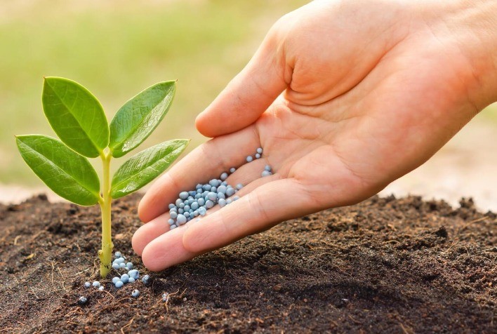 AGRONEGÓCIO: Fábrica misturadora de fertilizantes entra em operação em Rondônia