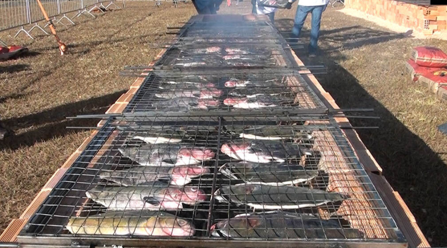 SEBRAE EM 2021: Tambaqui da Amazônia conquista o Brasil com apoio do Sebrae em Rondônia