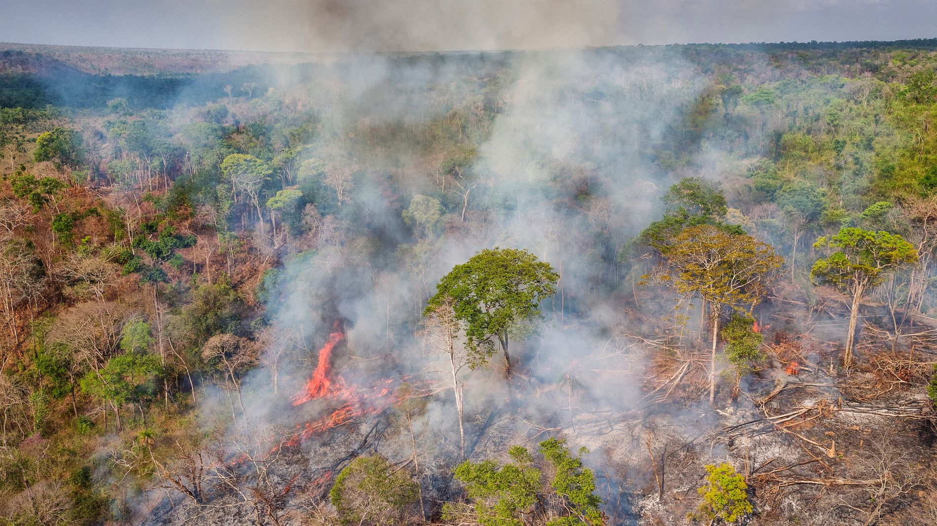 SEGUNDO LUGAR: Porto Velho é grande emissor de gases de efeito estufa do país, diz pesquisa