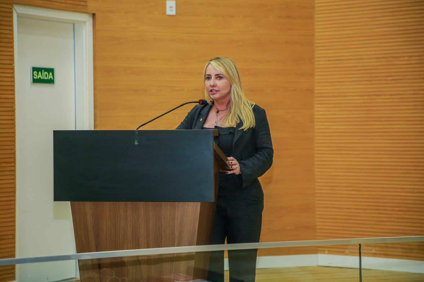 IEDA CHAVES: Deputada indica compra de caminhonete 4x4 para fortalecer atendimento do CAPS 