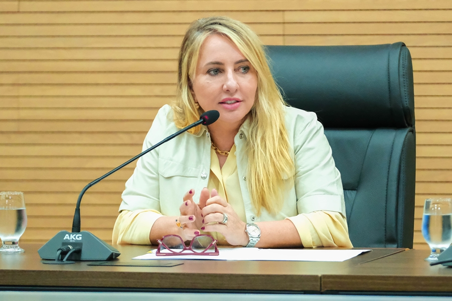 IEDA CHAVES: Deputada indica programa de capacitação para diagnóstico tardio de TEA e TDAH