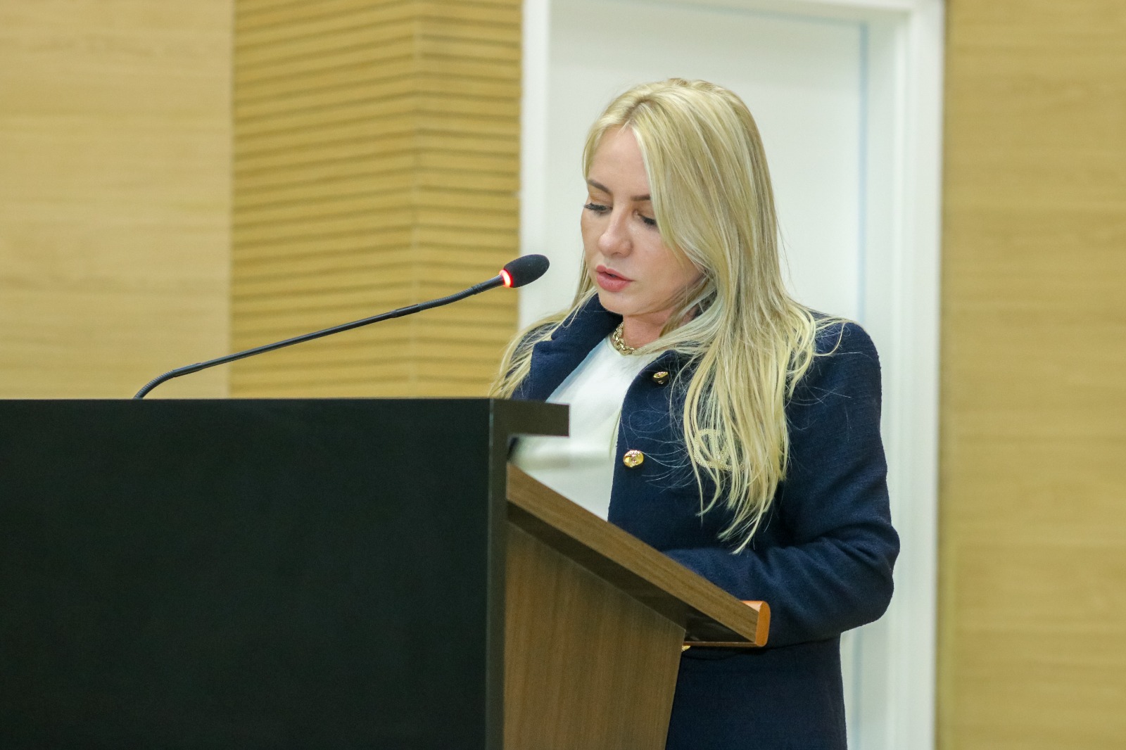 IEDA CHAVES: Deputada recomenda construção de nova ponte sobre o Rio da Vala