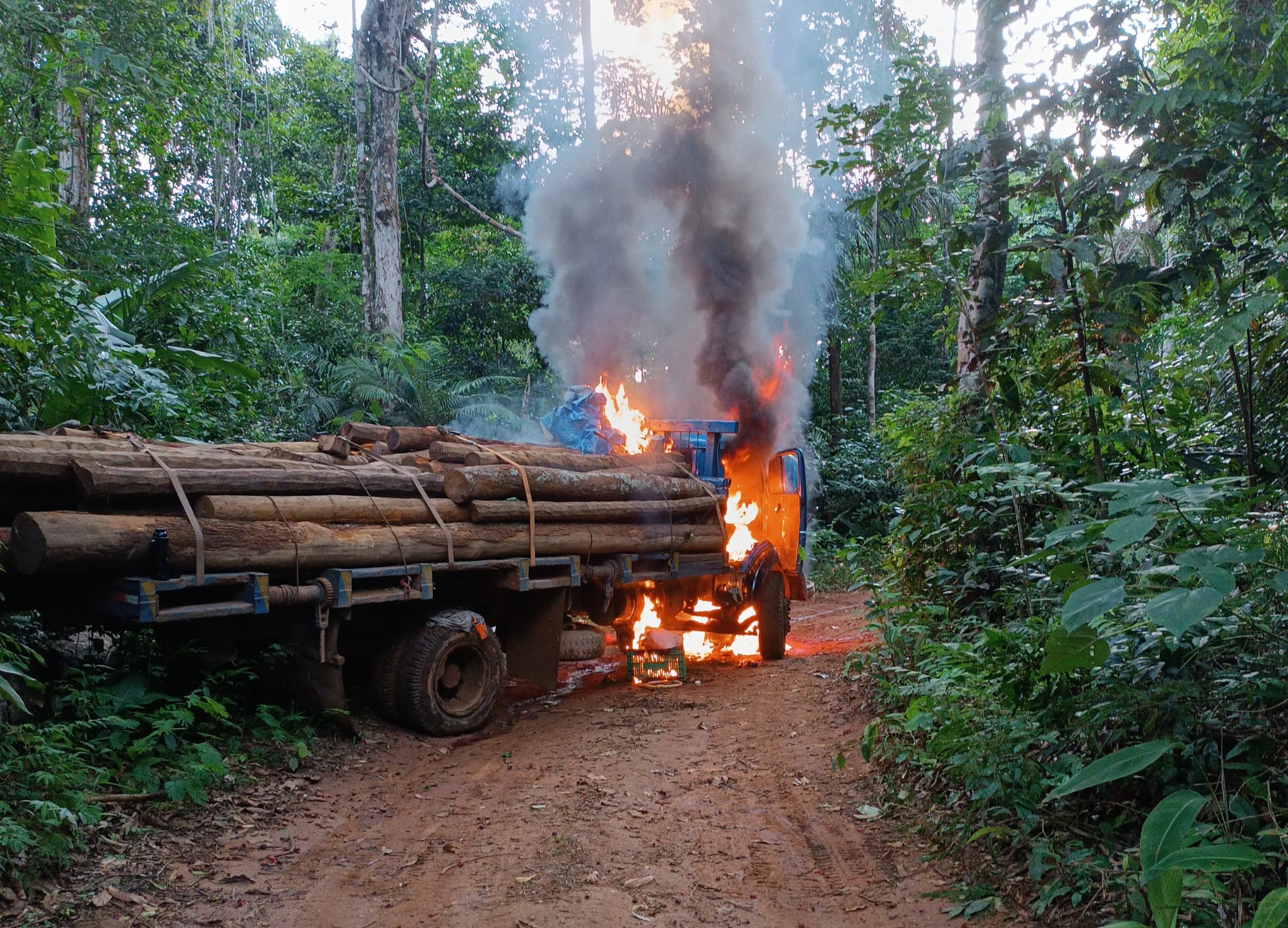 ROBERT JORDAN: Operação da PF combate extração de diamantes e destrói vários veículos em TI