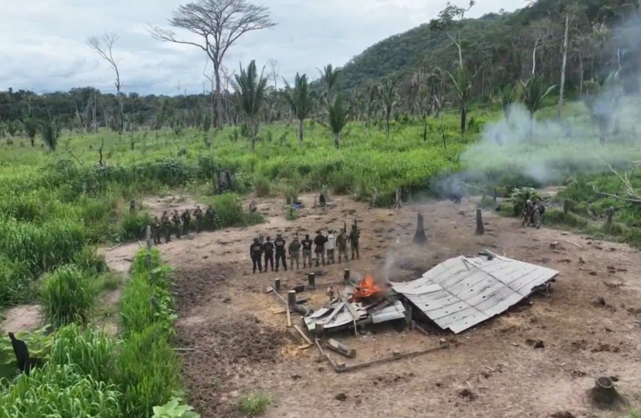 RESERVA RIO OURO PRETO: Operação da PF, Exército, ICMBio e PM combate extração ilegal de madeira 