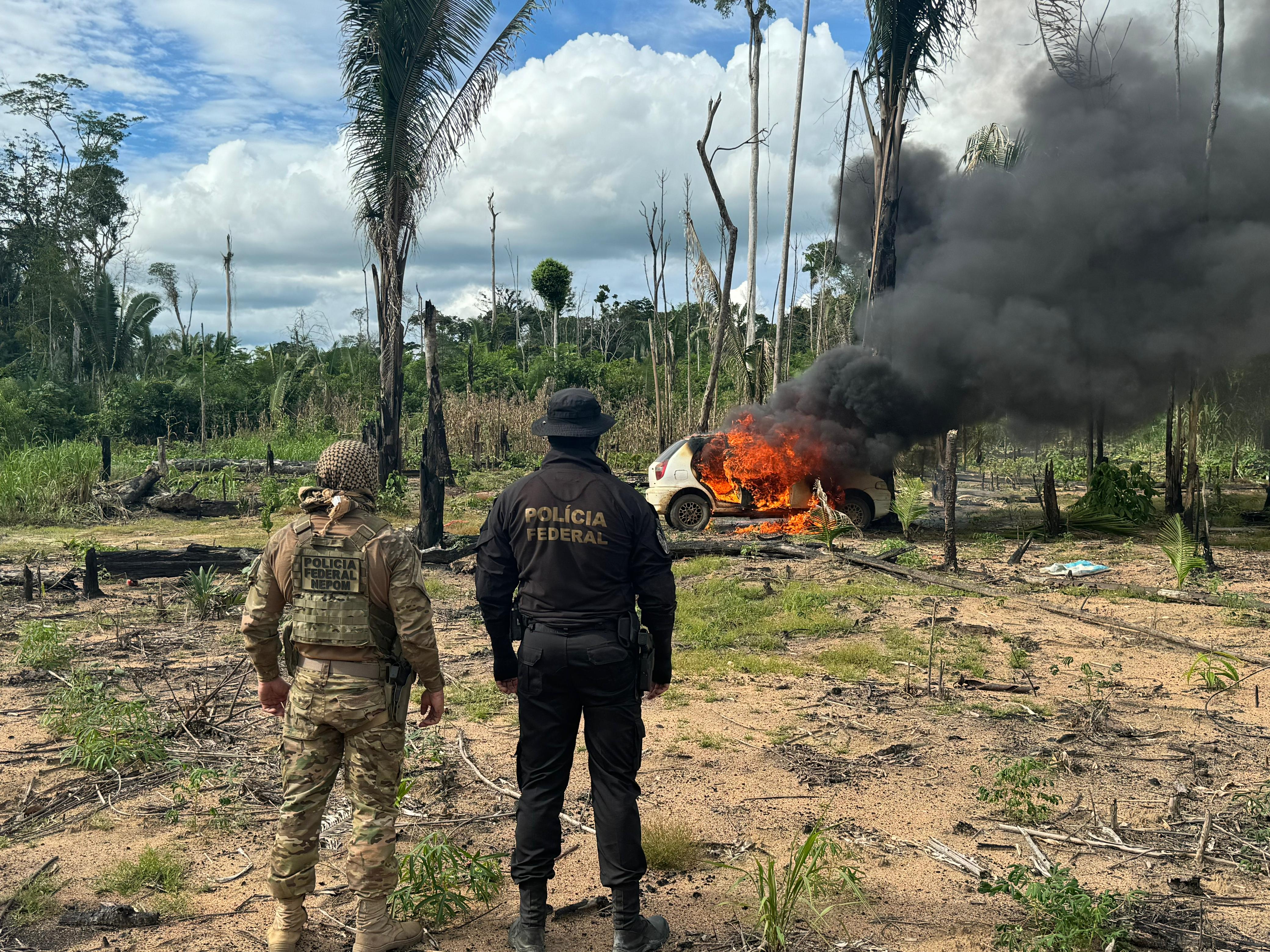 WARI: Operação da PF, Ibama, Exército e Funai combate invasão de Terra Indígena 