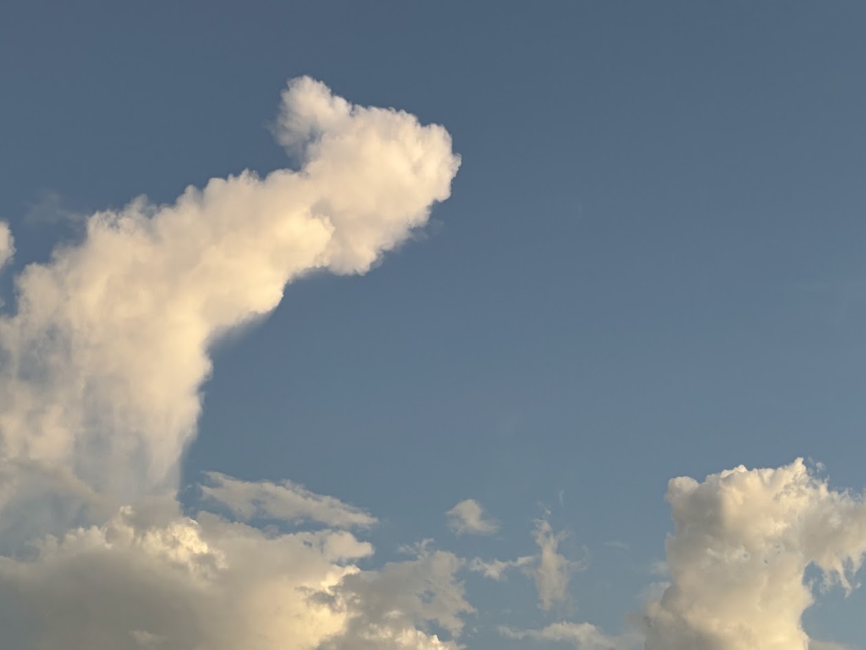 MORMAÇO: Terça (14) em Rondônia tem pancadas de chuva e calor, até em Demarcação