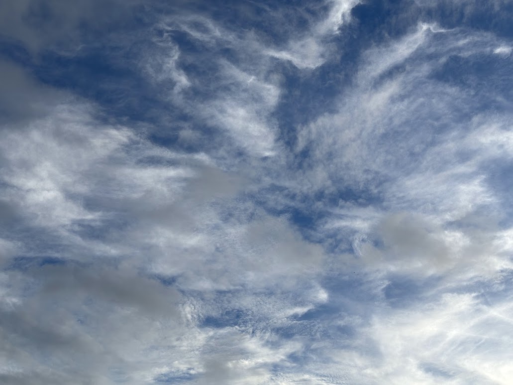 TROVOADAS: Censipam prevê pancadas de chuva para Rondônia nesta sexta (9)