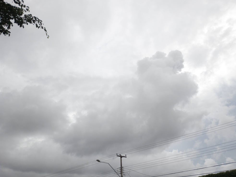MOLHADO: Terça (11) em Rondônia será nublada e chuvosa, inclusive em Cacoal