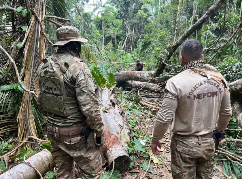 GRILAGEM: Invasores dividem e vendem 100 lotes dentro de Terra Indígena de RO