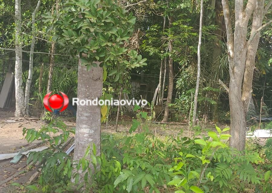 URGENTE: Adolescente de 17 anos é encontrada morta nos fundos de residência