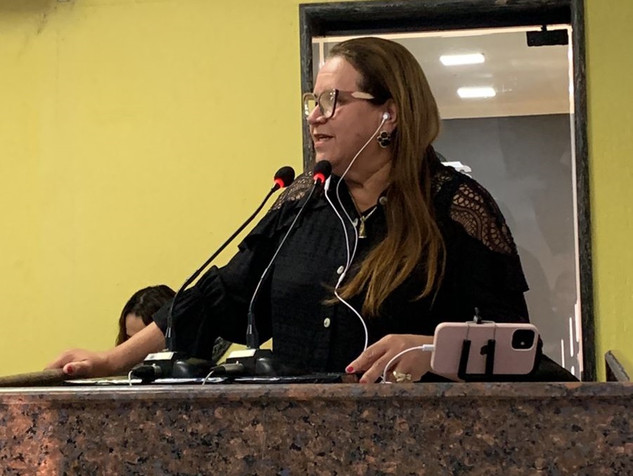 ELLIS REGINA: Projeto da vereadora facilita a construção de calçadas em Porto Velho