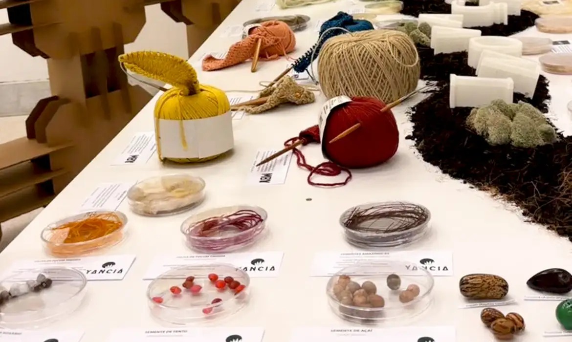 ESTUDO INÉDITO: Instituto Brasil África e Basa mapeiam exportação da bioeconomia amazônica