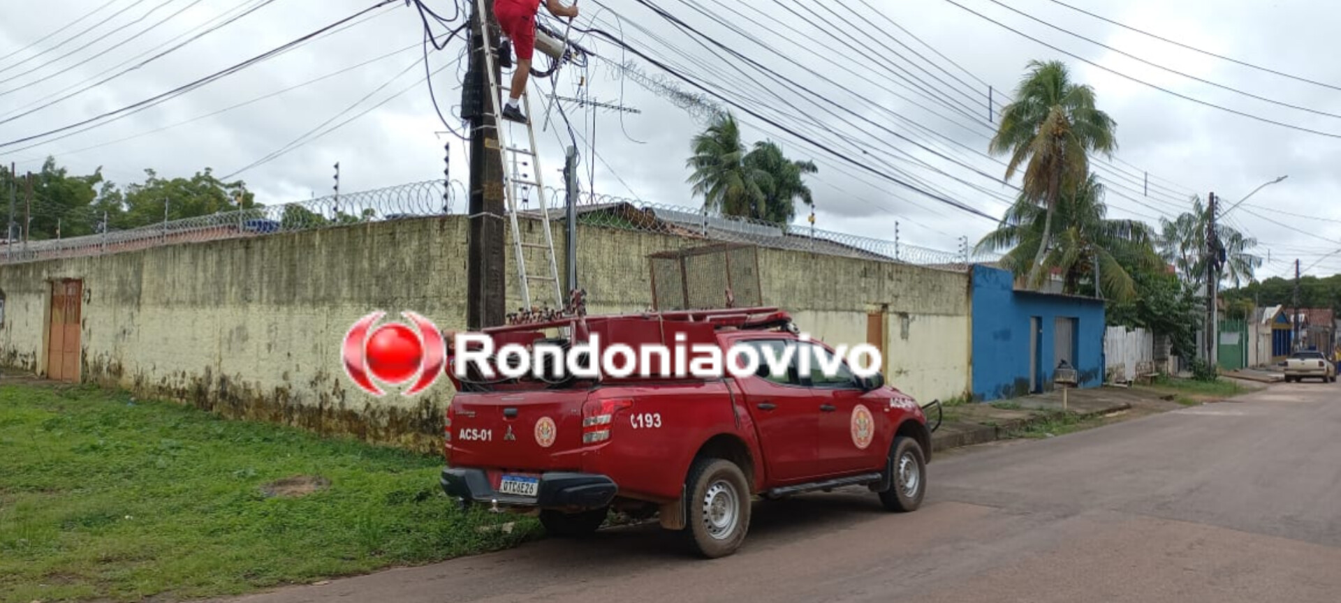 VÍDEO: Cobra é resgatada por Bombeiros enrolada em poste
