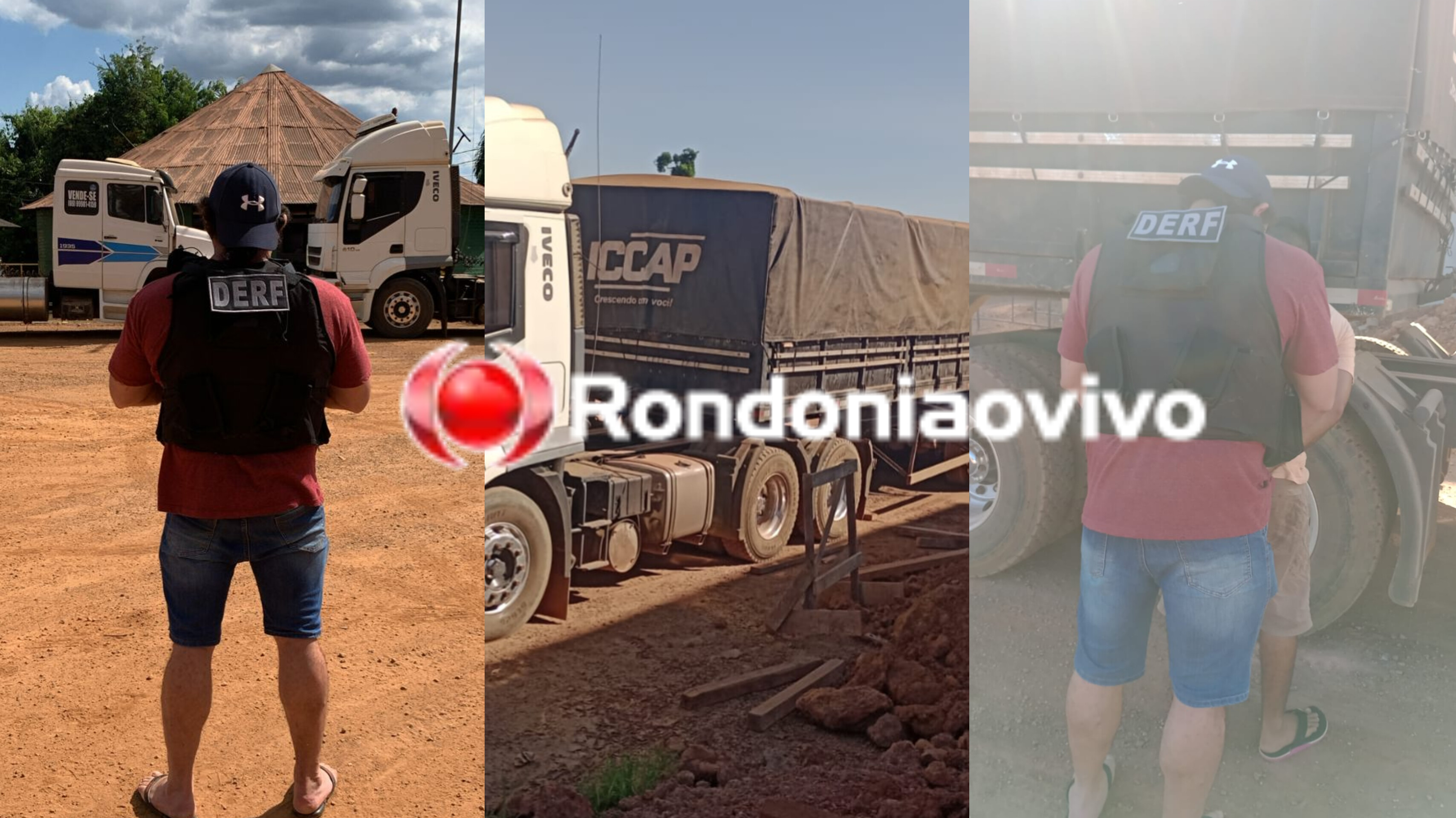 OPERAÇÃO: Patrimônio apreende 60 toneladas de soja, milho e prende caminhoneiro 