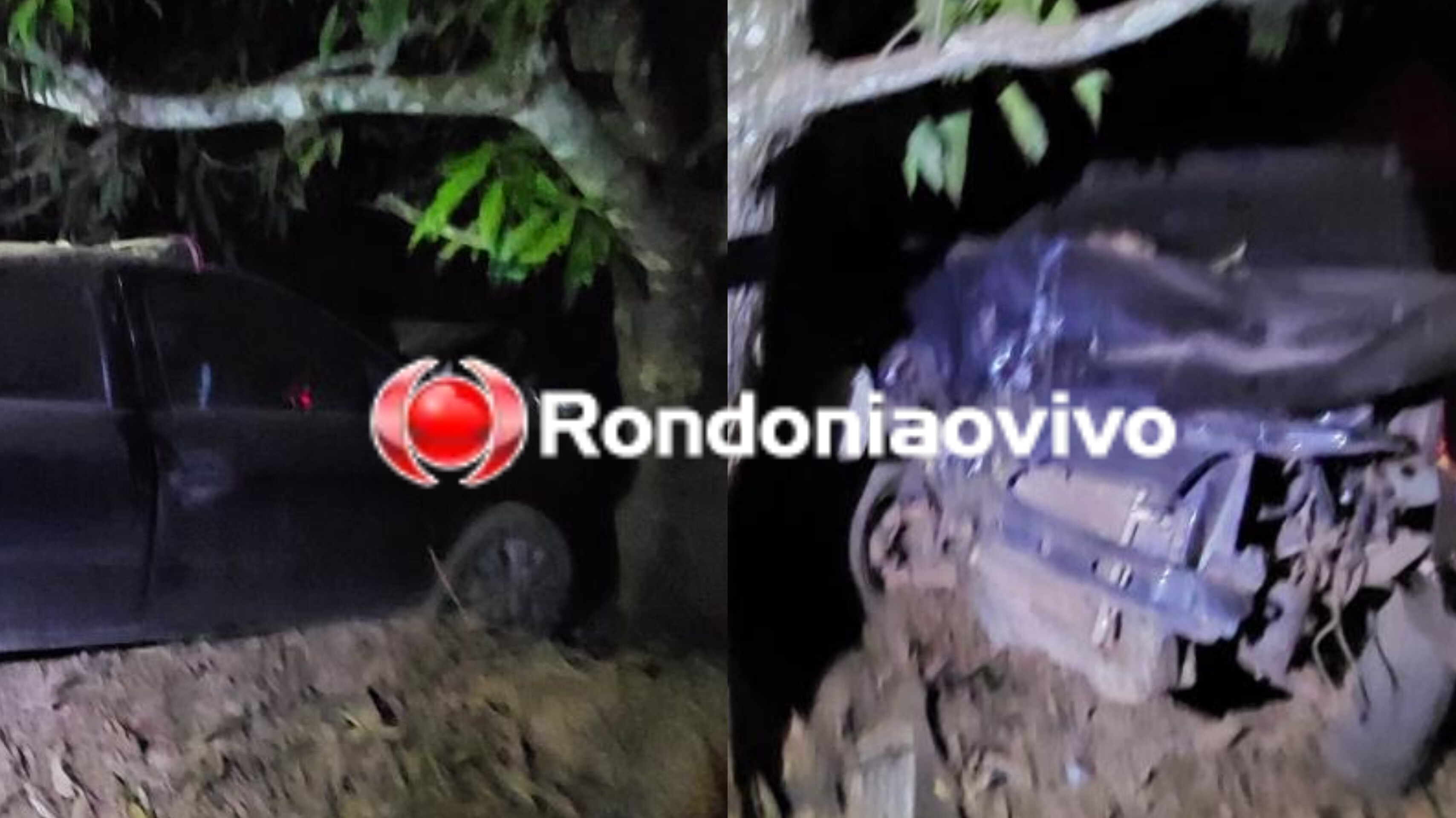 FERIMENTOS: Motorista perde controle da direção e bate violentamente em árvore 