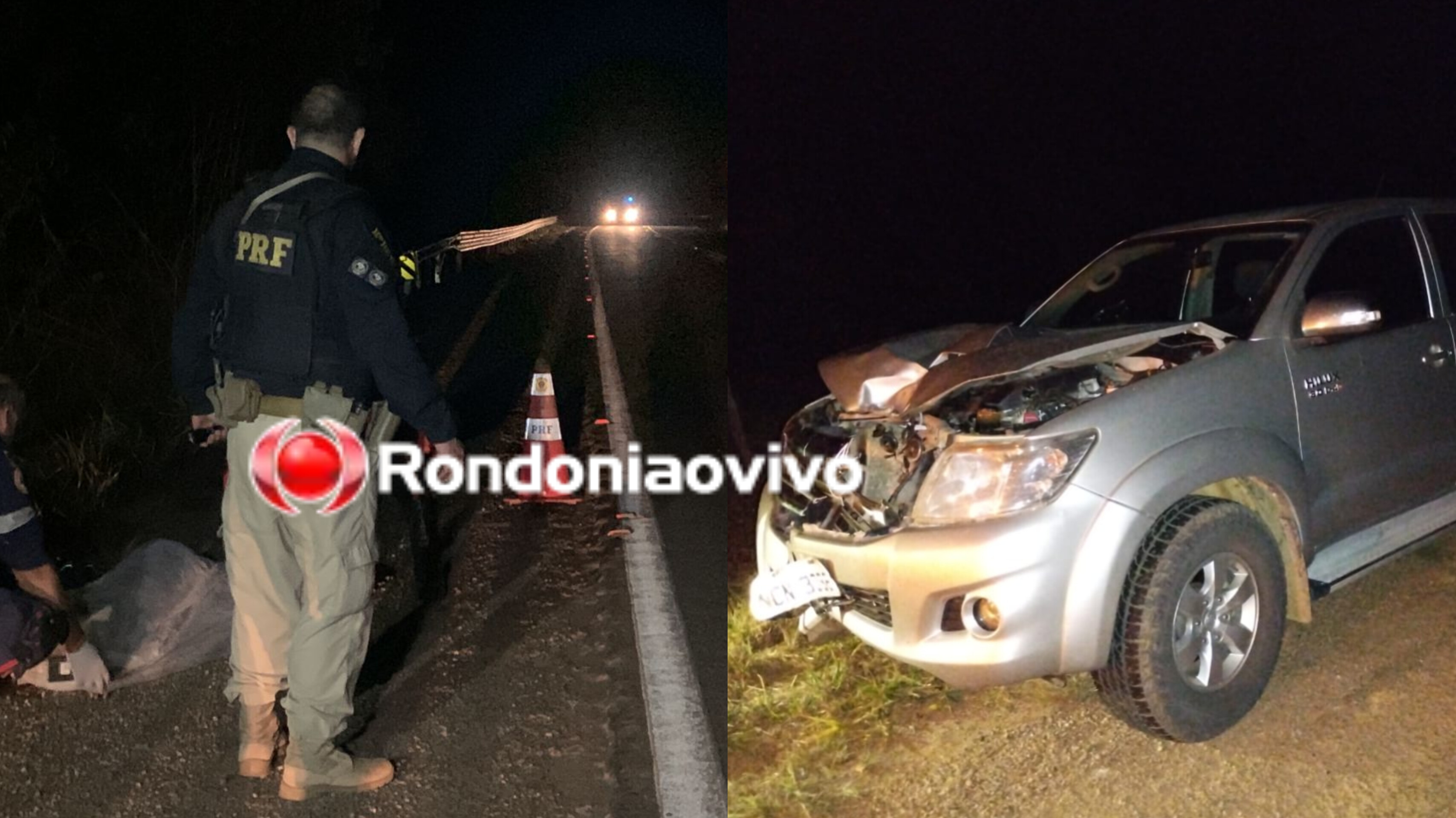 ATINGIDO EM CHEIO: Grave atropelamento resulta em vítima fatal na BR-364