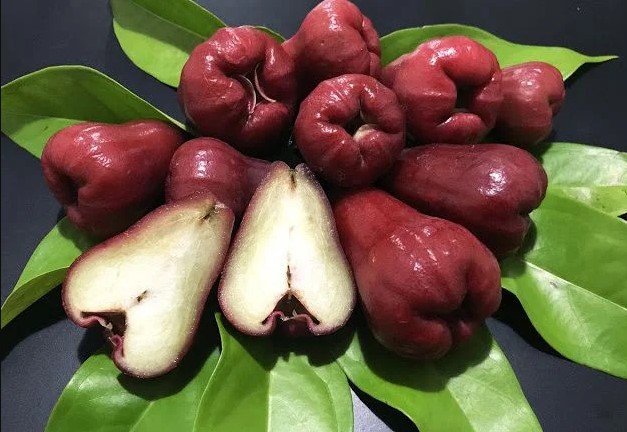 DELÍCIA: Saiba quais benefícios jambo pode trazer para saúde 