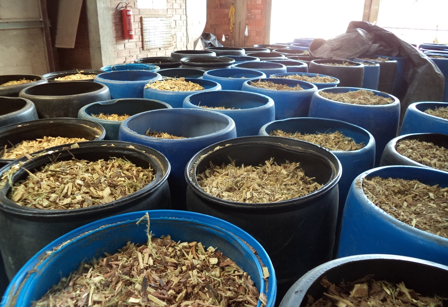 SUSTENTABILIDADE: Sicredi neutraliza emissões de carbono de 2023 e 2024