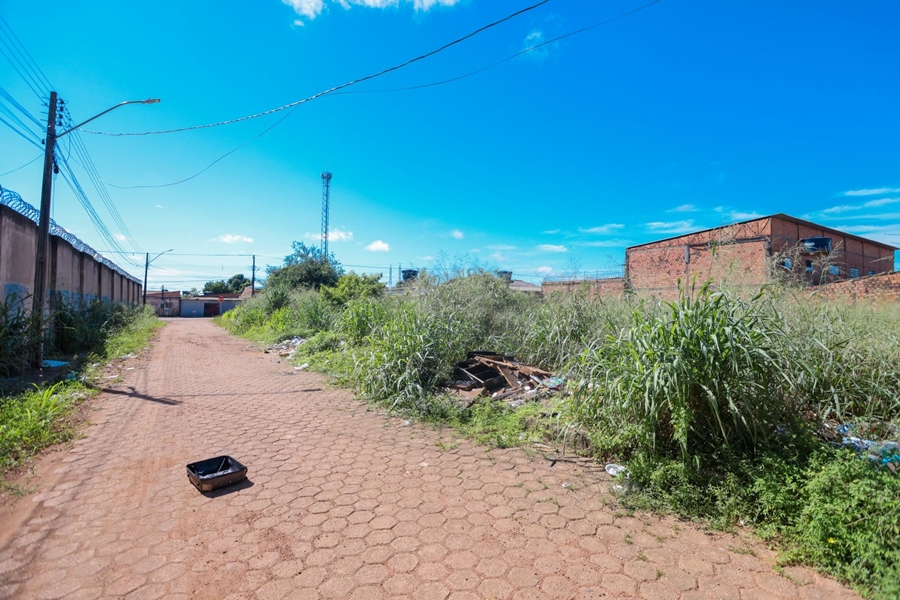 CIDADE LIMPA: Mais de 500 notificações já foram emitidas este ano sobre terrenos abandonados