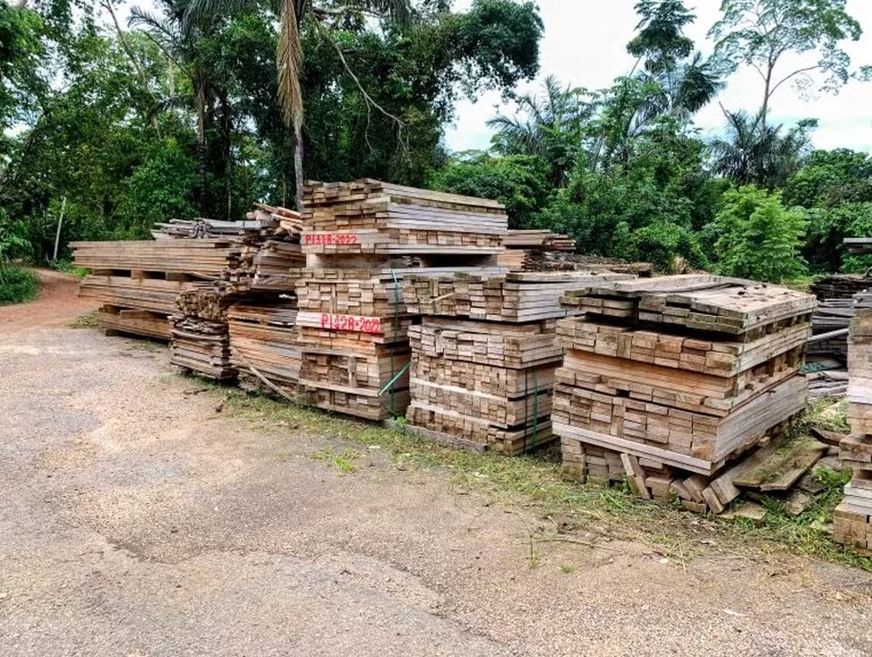 LEILÃO DE MADEIRA: Polícia Ambiental anuncia venda de toras e tábuas apreendidas em RO