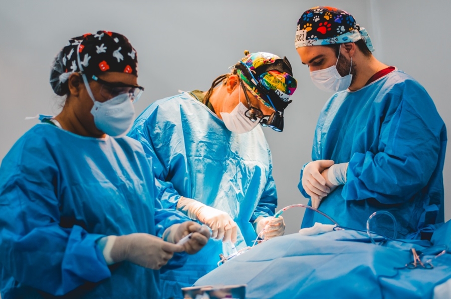 CLÁUDIA DE JESUS: Deputada solicita atendimentos de cirurgias labiopalatina