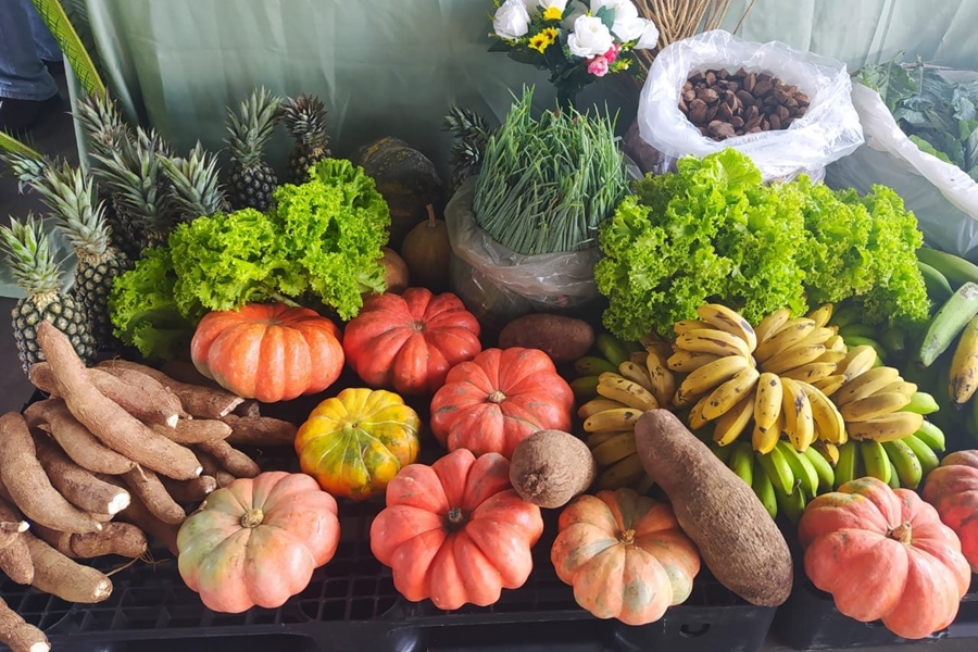 AQUISIÇÃO DE ALIMENTOS: PAA Federal vai contemplar mais de mil produtores rurais em RO