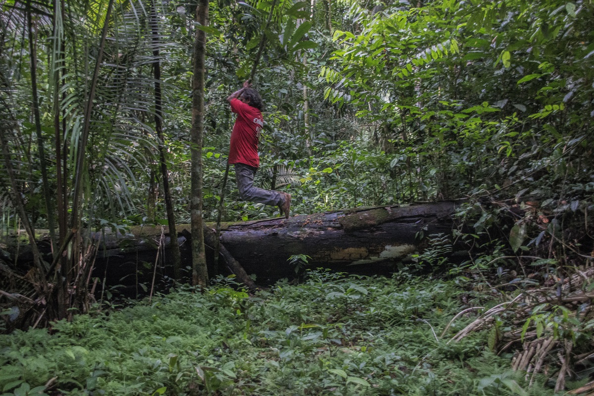 DESTAQUE: Exposição sobre a Amazônia, em Portugal, une fotografia, artes e literatura