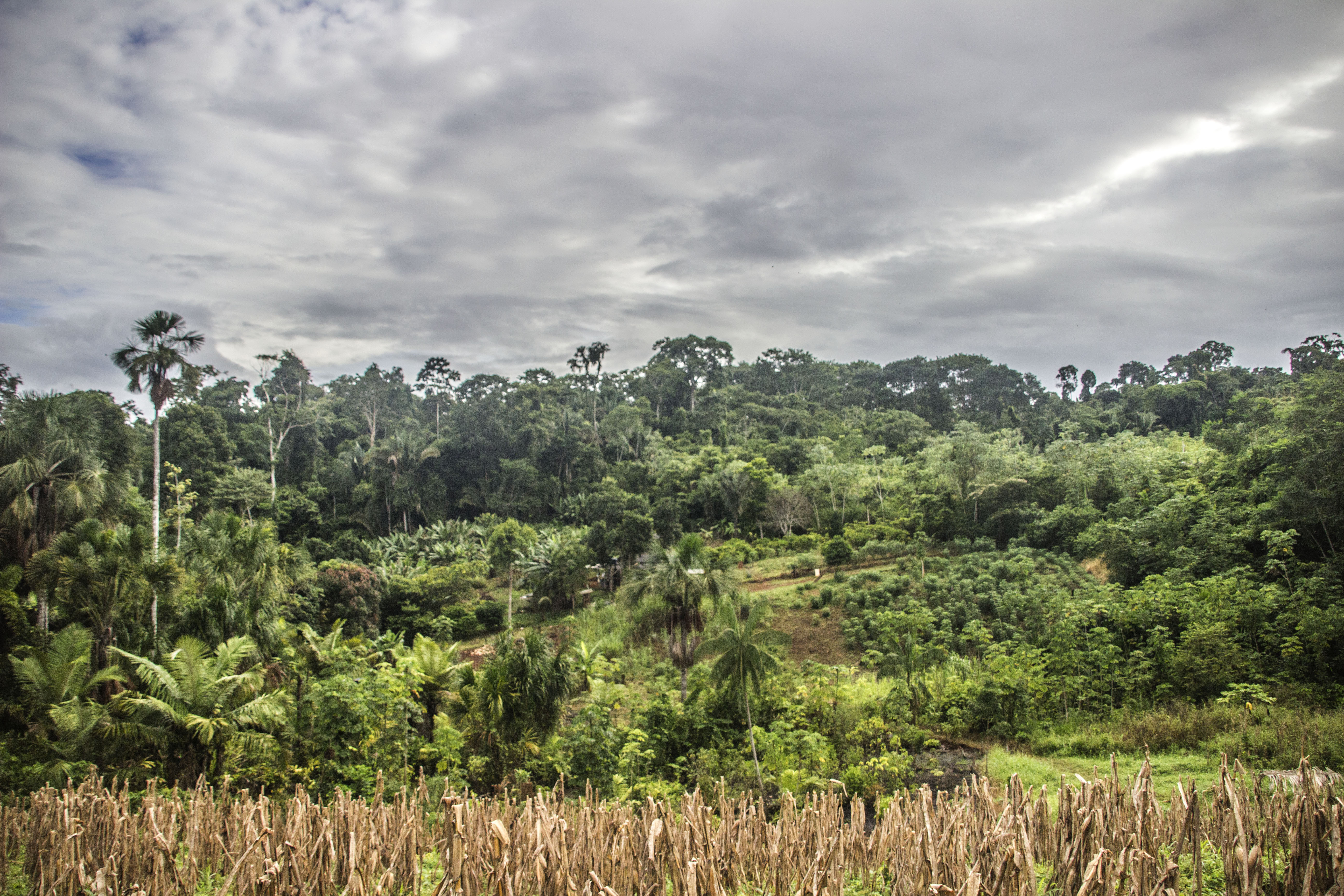 JEITINHO: Judiciário confirma condenação de PMs que cobravam propinas