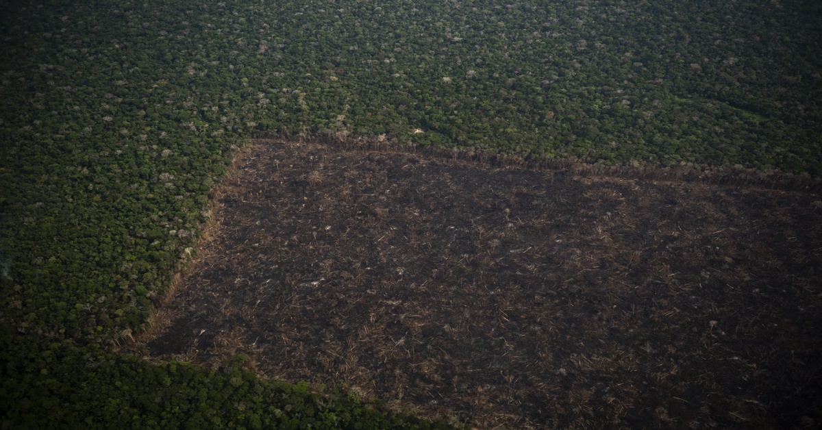 DADOS: Inpe libera informações sobre mudanças no solo amazônico