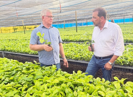 CRÉDITO AGRÍCOLA: Incra leva benefícios de R$ 10,2 milhões para 400 famílias em Machadinho