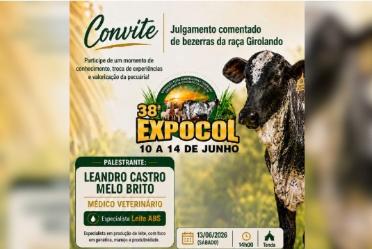NA 38ª EXPOCOL: Julgamento de Bezerras Girolando destaca genética e potencial produtivo 