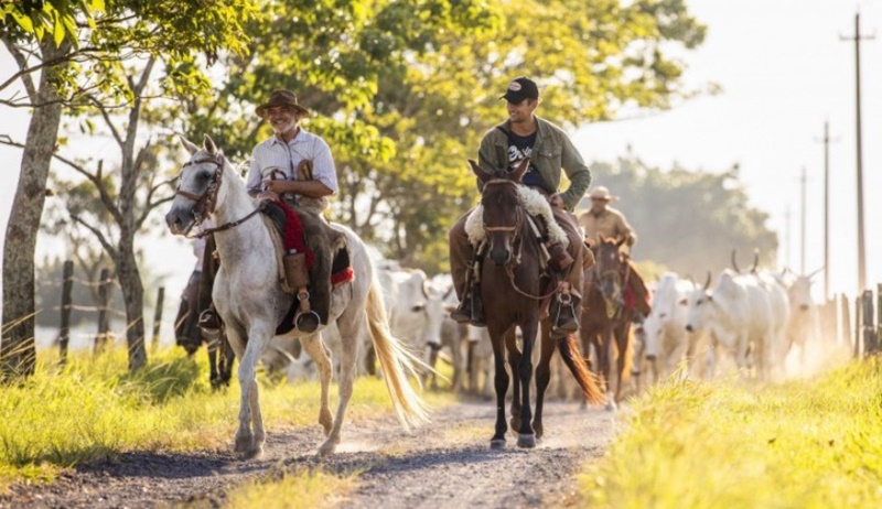 NOVELAS: Confira o resumo dos capítulos desta sexta-feira (15)