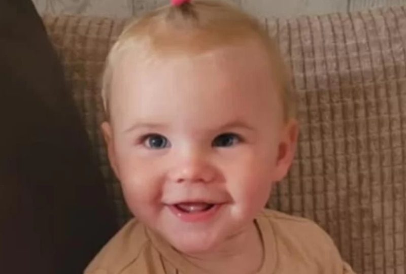 TRISTEZA: Família compra cachorro que ataca e mata bebê dentro de casa