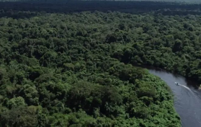 MEIO AMBIENTE: Governo de RO registra queda de 34,9% no desmatamento