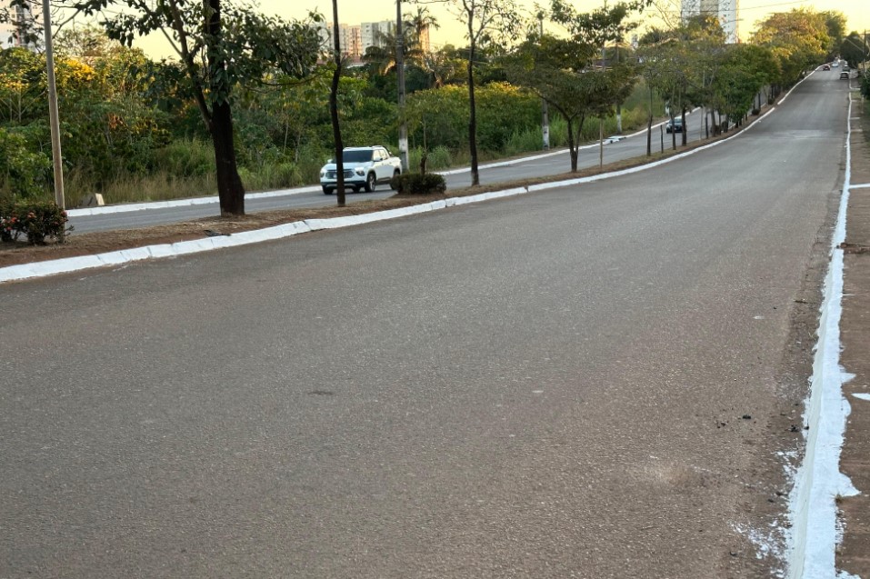 DR. GILBER: Limpeza acontece na Av. Imigrantes após pedido do vereador