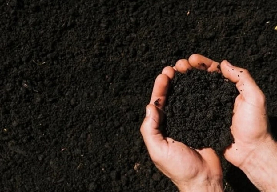 IPCF: Poder de compra de fertilizantes pelo agricultor melhora