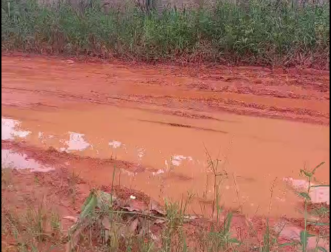 PEDIDO DE PROVIDÊNCIA: Moradores do Mariana sofrem com péssimas condições de rua em Porto Velho