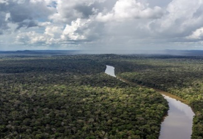 NA AMAZÔNIA: Agricultores familiares podem receber R$ 28 mil por preservação ambiental
