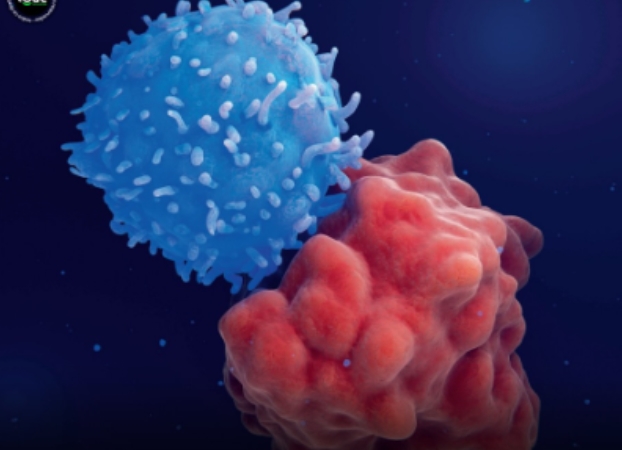 O ANO DA ESPERANÇA: Cientistas acham a chave para acordar sistema imunológico contra o câncer