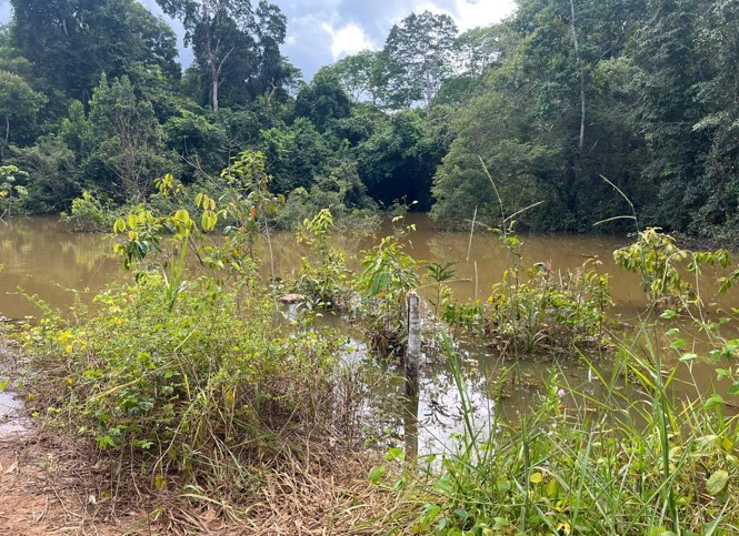 SOFIA ANDRADE: Pedido da vereadora é atendido e ponte no Ramal Bom Jesus é reconstruída