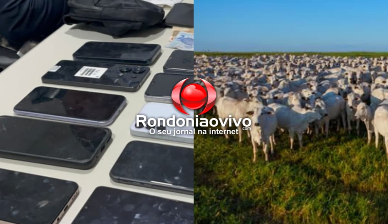 DE CELULAR A GADO: Nova lei endurece punição para crimes que lideram ocorrências em Rondônia