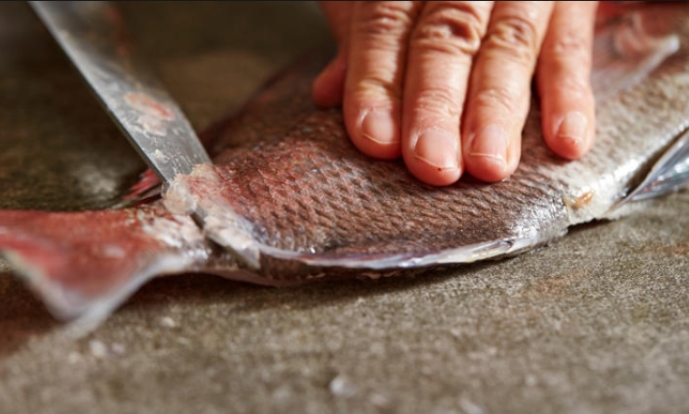 SEGREDO REVELADO: Veja esse truque que faz as escamas de peixe caírem sozinhas 